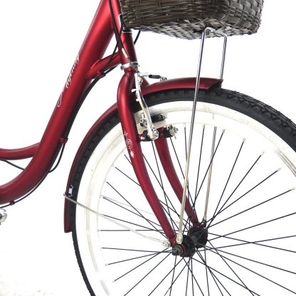 Bicicleta Infinity VIntage