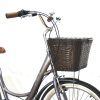 Bicicleta Infinity VIntage