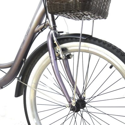 Bicicleta Infinity VIntage