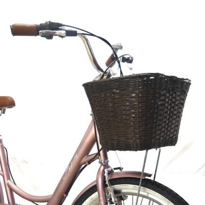 Bicicleta Infinity VIntage